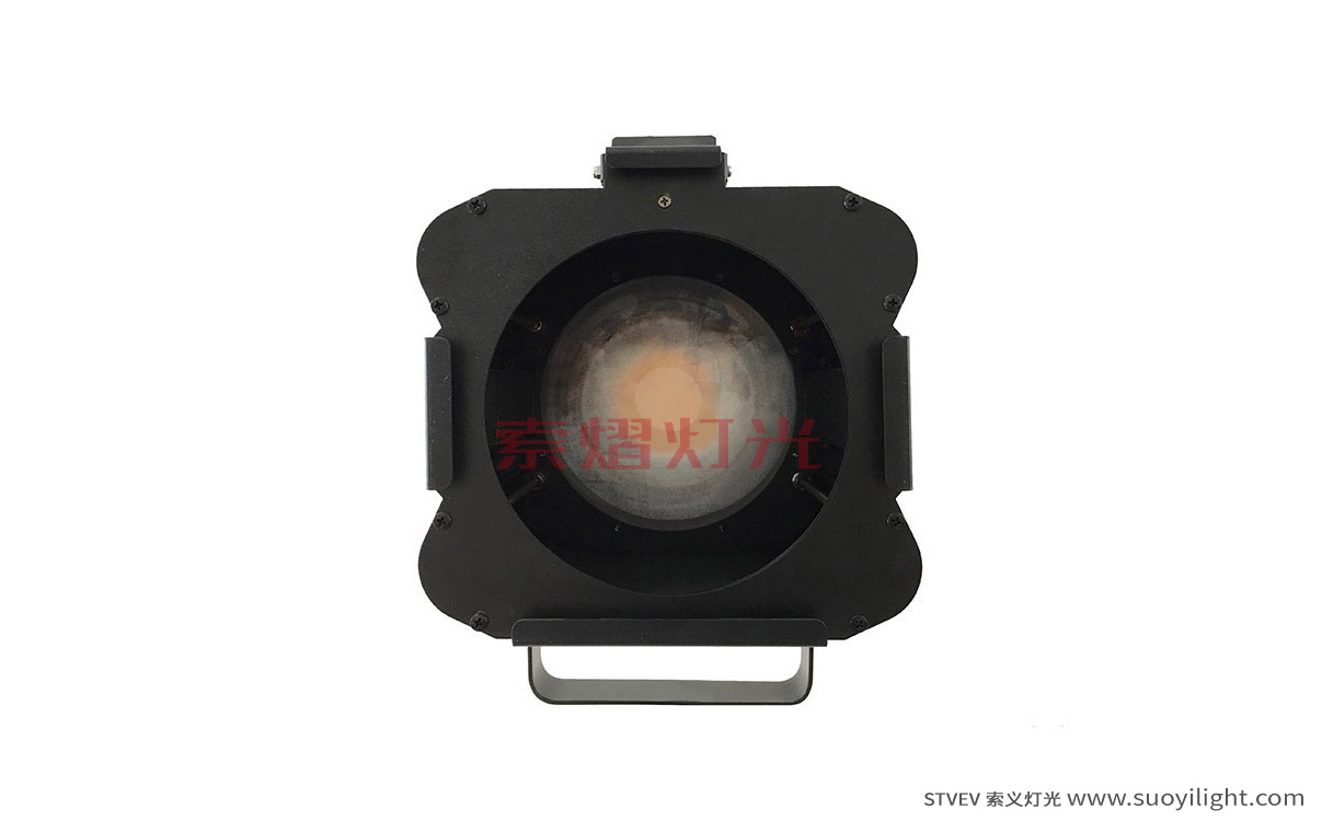 Auckland200W LED Thread Image Light