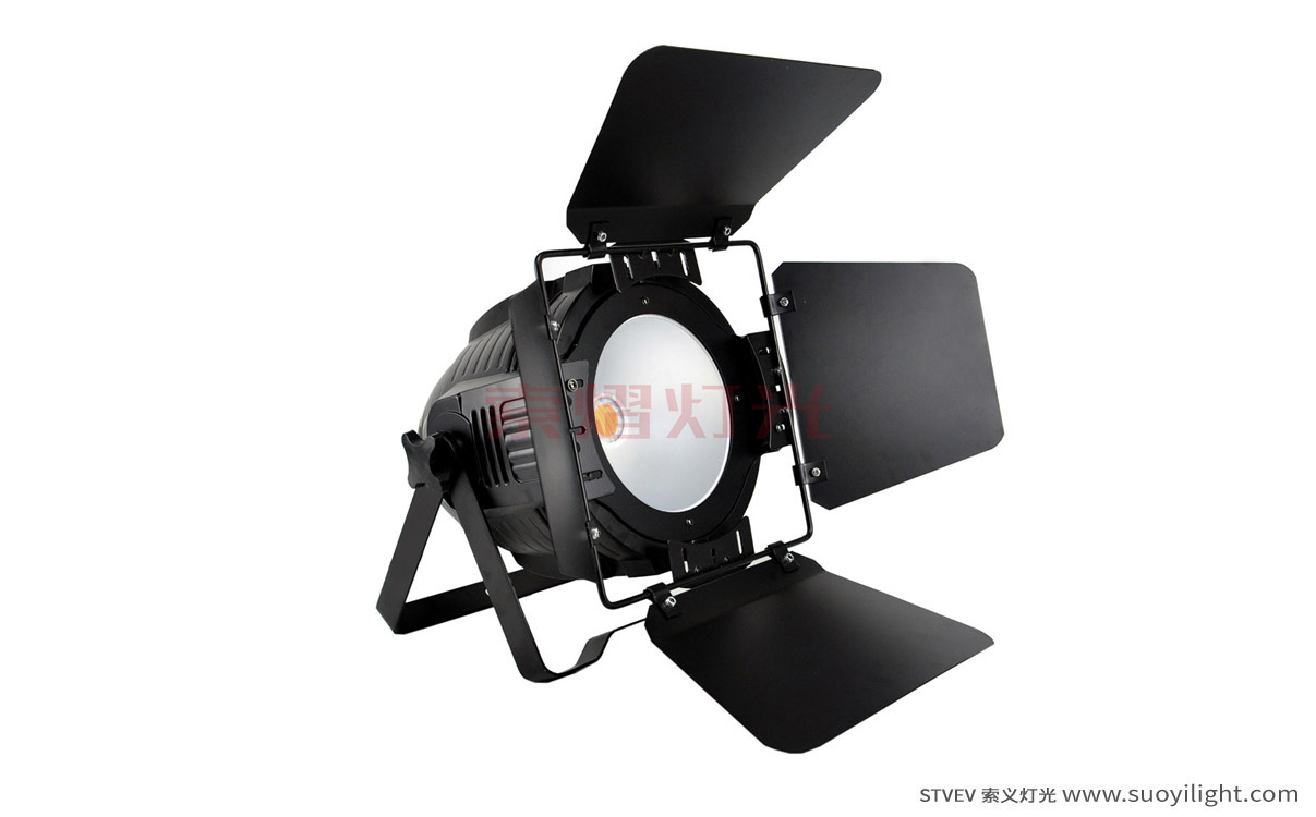 Auckland200W COB LED Par Light