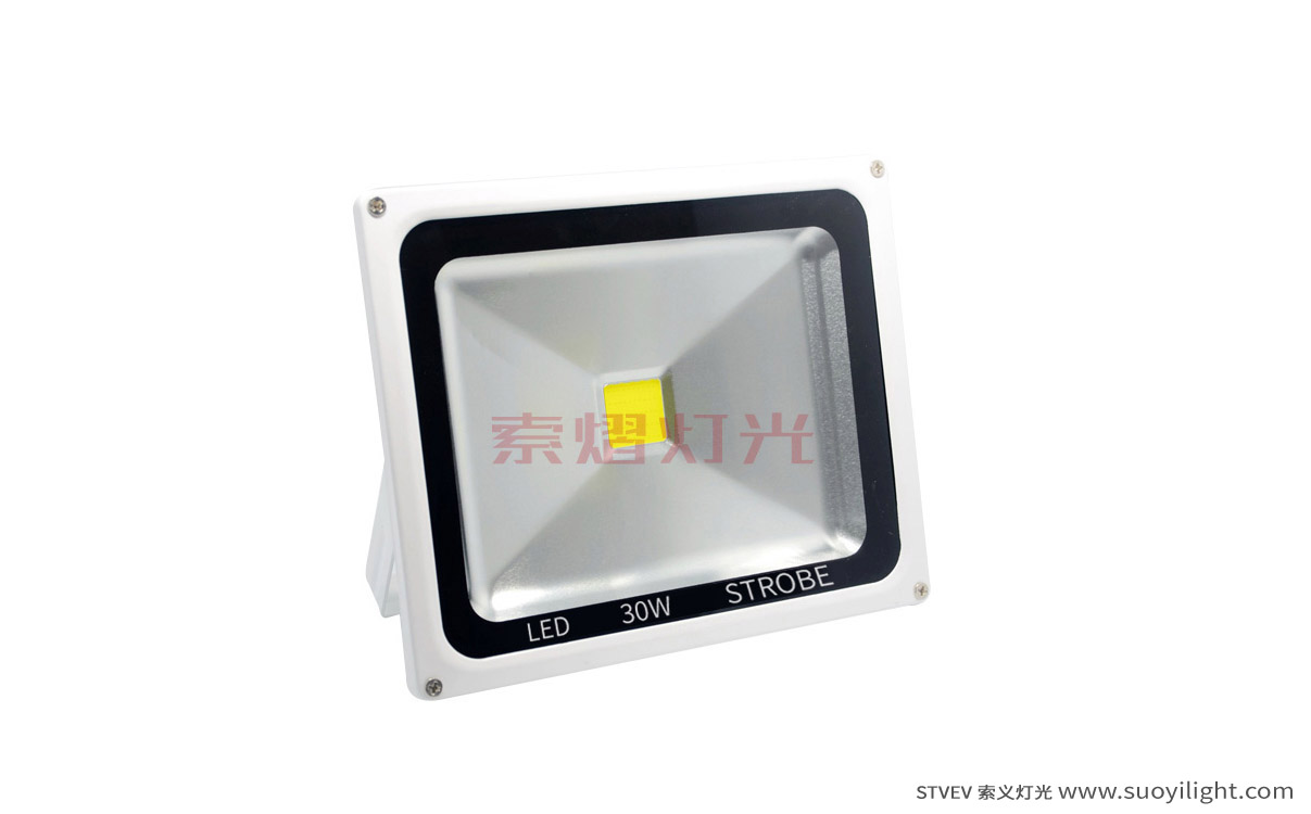Auckland30W LED Strobe Light