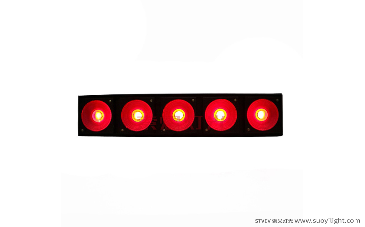 Auckland LED 5 Head Matrix Light
