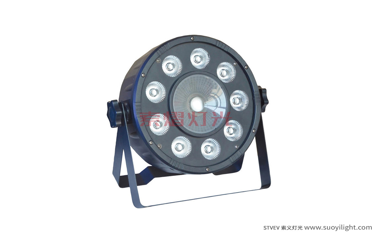 Auckland9+1 LED Plastic Par Light
