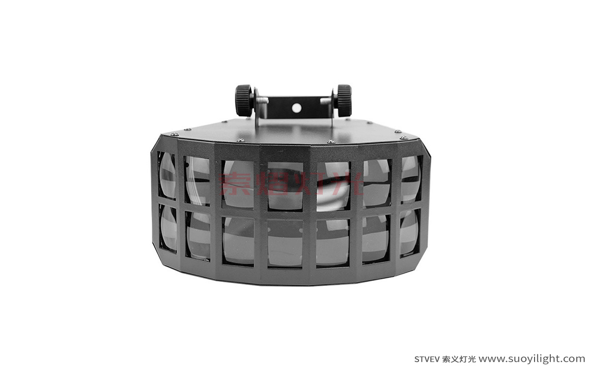 AucklandLED Double Butterfly Light