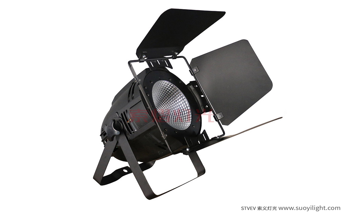 Auckland100W LED COB Par Light