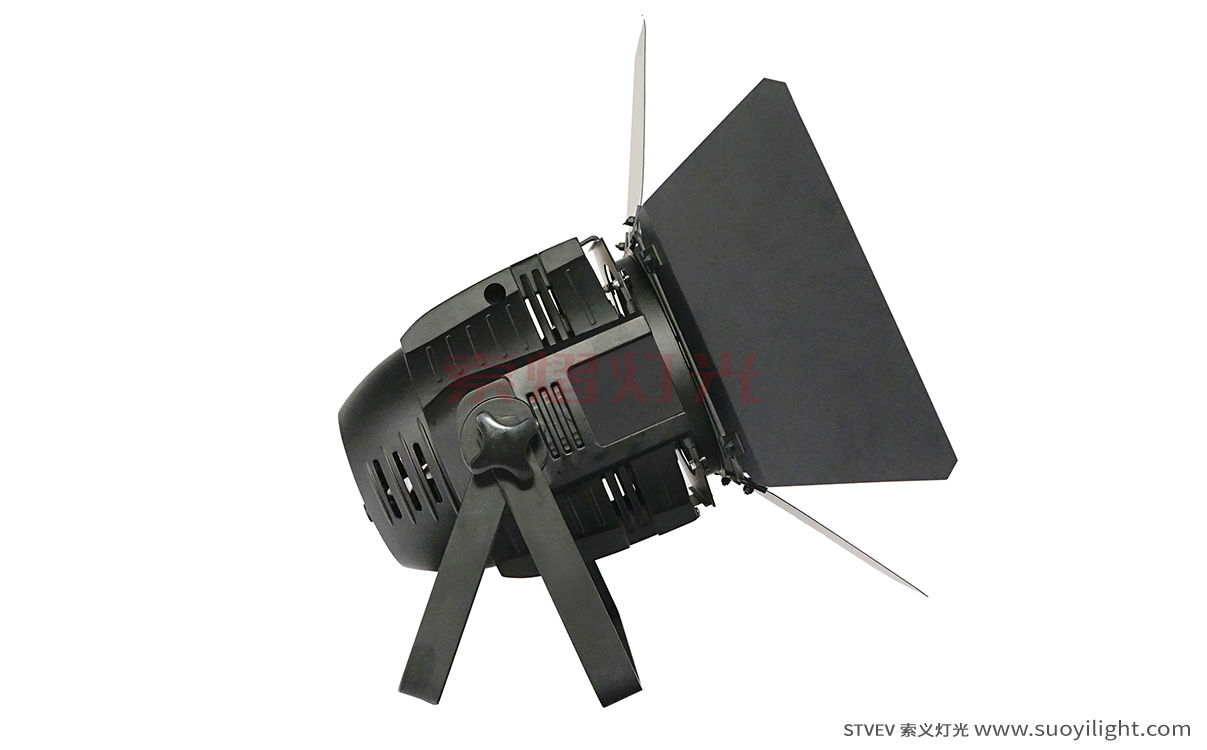 Auckland100W LED COB Par Light