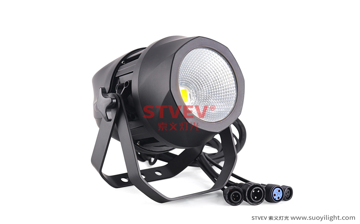 Auckland200W Waterproof COB Par Light