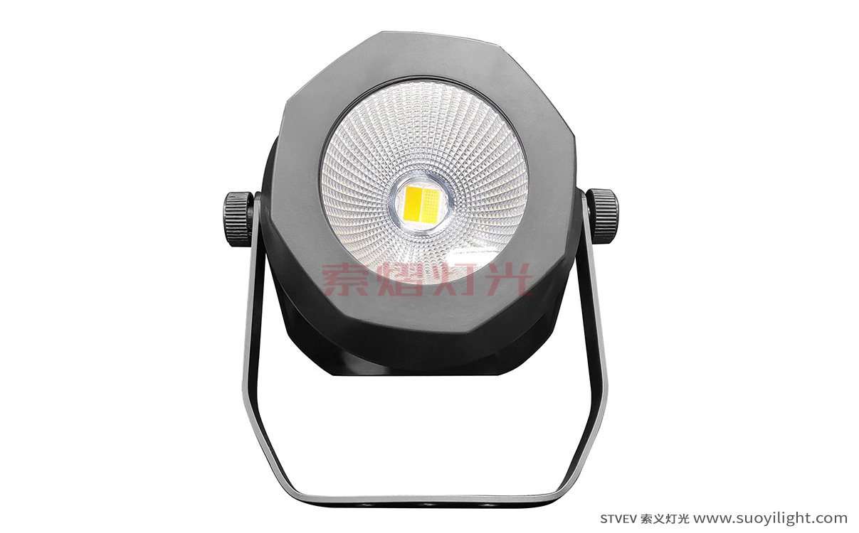 Auckland200W Waterproof COB Par Light