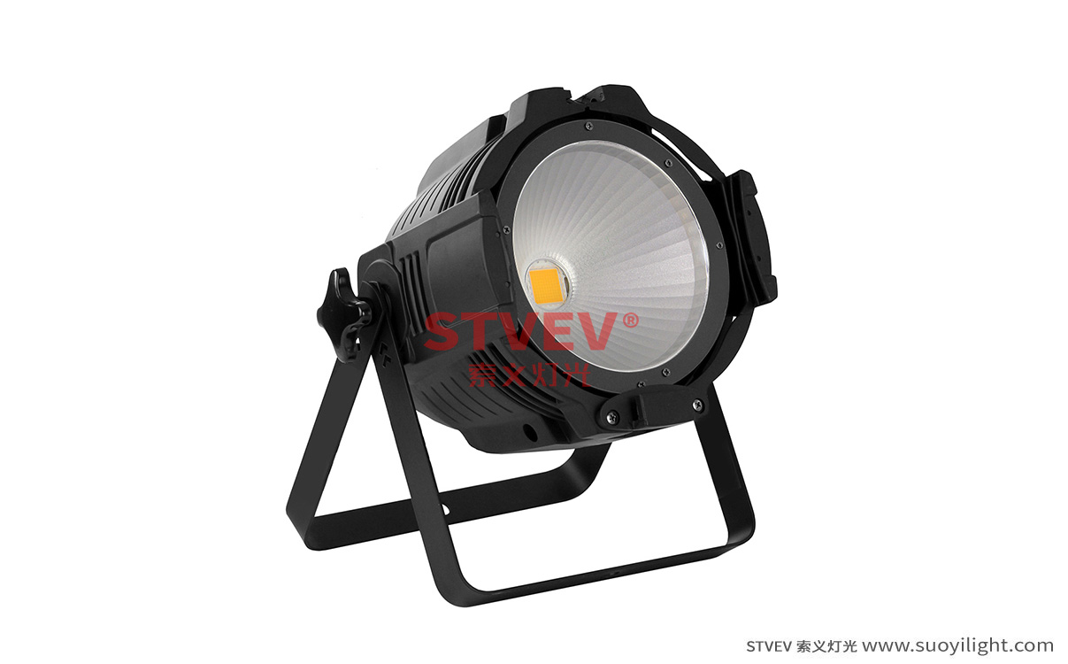 Auckland100W 面光灯不带遮光板